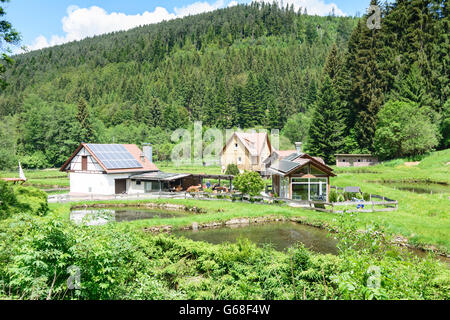 trout farming facility Calmbach, Restaurant in Würzbach valley, Bad Wildbad, Germany, Baden-Württemberg, Schwarzwald, Black Fore Stock Photo