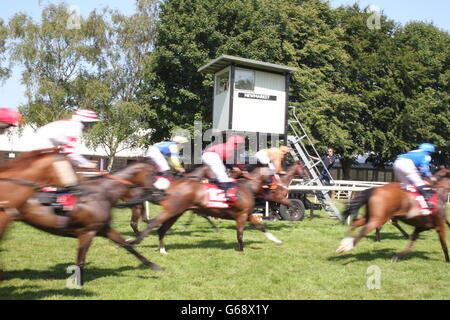 Horse Racing 2013 - 2013 Piper-Heidsieck July Festival - Darley July Cup Day - Newmarket Racecourse Stock Photo