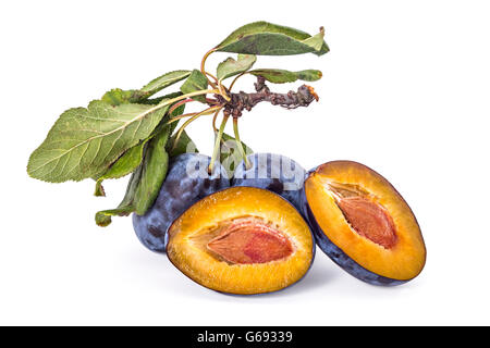 Fresh ripe plums on the branch with leaves, and a sliced plums on white background Stock Photo