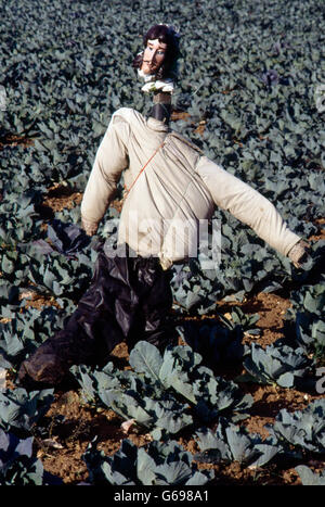 Scarecrow in the English landscape by Colin Garratt Stock Photo