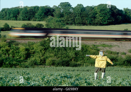 Scarecrow in the English landscape by Colin Garratt Stock Photo