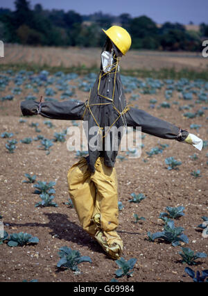 Scarecrow in the English landscape by Colin Garratt Stock Photo