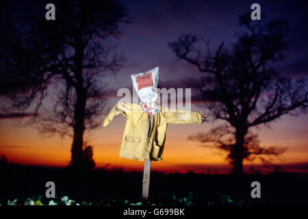 Scarecrow in the English landscape by Colin Garratt Stock Photo