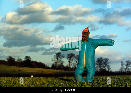 Scarecrow in the English landscape by Colin Garratt Stock Photo