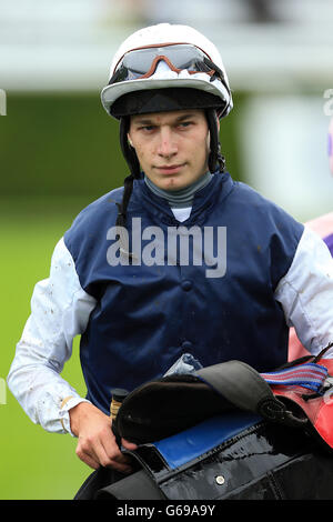 Horse Racing - 2013 Glorious Goodwood Festival - QIPCO Sussex Stakes Day - Goodwood Racecourse. Luke Morris, Jockey. Stock Photo