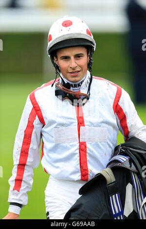 Horse Racing - 2013 Glorious Goodwood Festival - QIPCO Sussex Stakes Day - Goodwood Racecourse. William Buick, Jockey. Stock Photo