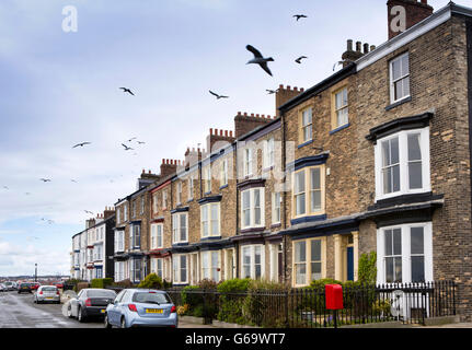 UK, County Durham, Hartlepool Headland, Albion Terrace, tall Victorian seafront homes Stock Photo