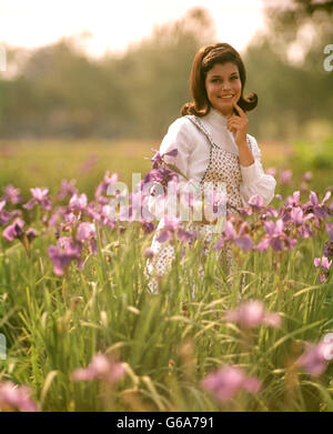 1970s PRETTY BRUNETTE WOMAN IN A FIELD PURPLE IRIS WEARING PRINT JUMPER WHITE BLOUSE SMILING LOOKING AT CAMERA Stock Photo