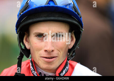 Horse Racing - 2013 Glorious Goodwood Festival - Day One - Goodwood Racecourse. Ryan Moore, Jockey. Stock Photo