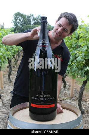 Curiosity: Art and Pleasure of Knowing exhibition. s biggest ever bottle of English sparkling wine, produced by the Chapel Down Winery in Kent. Stock Photo