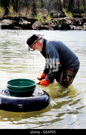 Gold digger in France in the region of Cevennes and the department of Gard in the middle of the river called Le Gardon Stock Photo