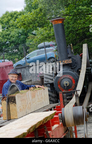 Man operating log slide on a Burrell Steam Power Belt Driven Log Saw Stock Photo