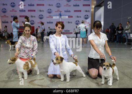 (160624) -- MOSCOW, June 24, 2016 (Xinhua) -- Dogs stand with their owners during World Dog Show in Moscow, Russia, on June 24, 2016. World Dog Show 2016 kicked off here on Friday, gathered more than 27,000 dogs from 40 countries all over the world. (Xinhua/Evgeny Sinitsyn) Stock Photo