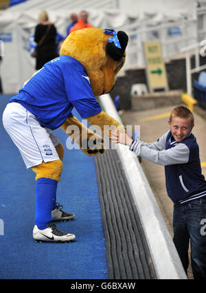 Soccer - Sky Bet Championship - Birmingham City v Brighton & Hove Albion - St Andrew's. Birmingham City mascot Belle Brummie greets young fans Stock Photo