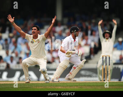 Australia's Mitchell Starc appeals successfully for the wicket of England's Jonathan Trott during day three of the Fifth Investec Ashes Test match at The Kia Oval, London. Stock Photo