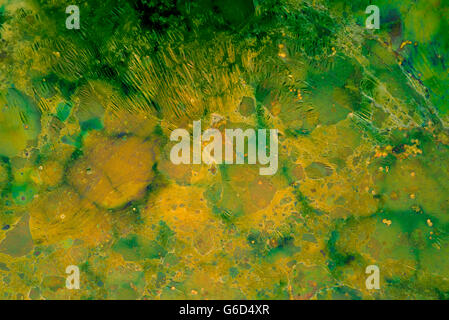 Grunge abstract art background in vibrant contrast green colors, paint spot texture backdrop.