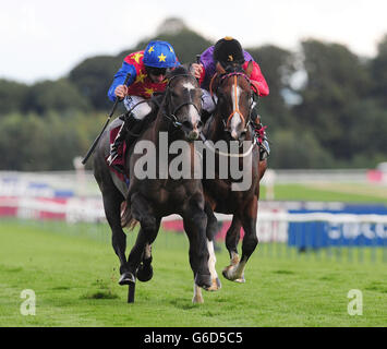 Kickboxer ridden by Paul Hanagan (left) beats Musical Comedy ridden by Richard Hughes to win the Betfred Treble Odds On Lucky 15s Nursery Handicap Stakes during the Betfred Sprint Cup Festival at Haydock Park Racecourse, Newton-le-Willows. Stock Photo
