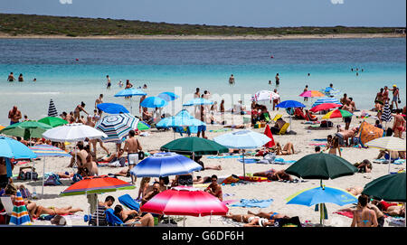 People and Sunshades on Stintino Beach Sardinia Italy Stock Photo