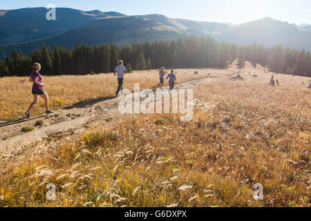 Friends run together through a meadow on a track towards Elk Ridge, White River National Forest, Colorado. Stock Photo