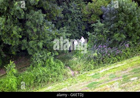 Police search the copse on Harrowdown Hill where Dr. Kelly's body was found. Stock Photo