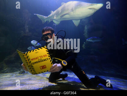Diver Lewis Jepson reads a book in the shark tank at Deep Sea World, North Queensferry as Book Week Scotland is launched.