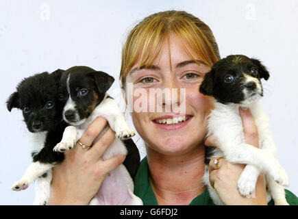 RSPCA find five abandoned puppies Stock Photo