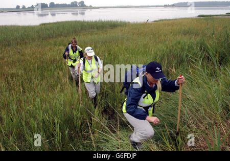 Rory Unwin-Rose Missing Stock Photo