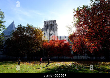 Children play in fallen leaves in Deans Park next to York Minster. Stock Photo