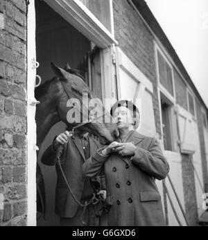 Horse Racing - Injured Arkle - Kempton Park, London Stock Photo - Alamy