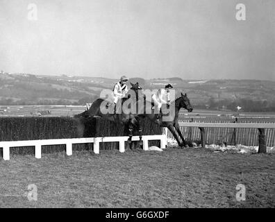 Anne Duchess of Westminster's 'Arkle' (r) Pat Taaffe up, clearing a fence en route to winning the Cheltenham Gold Cup. Pictured left is second place 'Mill House' with G W Robinson up. Stock Photo