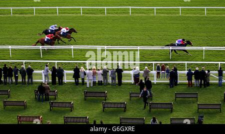 Horse Racing - Newbury Racecourse Stock Photo