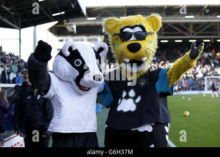 Fulham mascot Billy the Badger (left) and Jacksonville Jaguars mascot Jackson de Ville pose for a photograph on the pitch before kick-off Stock Photo