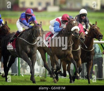 Tote Silver Cup Stock Photo