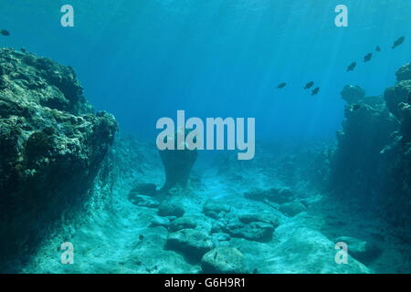 Underwater landscape on the ocean floor, coral reef sculpted by the swell, Pacific ocean, French Polynesia Stock Photo