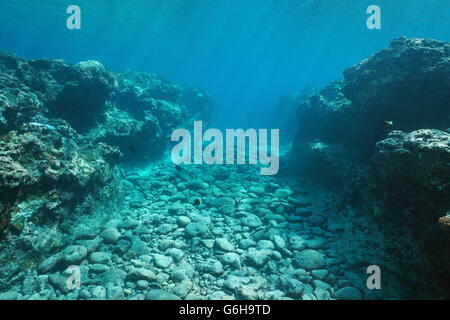 Underwater landscape, seabed carved by swell into the reef, Huahine island, Pacific ocean, French Polynesia Stock Photo