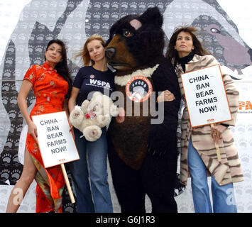 From left to right; actress Rachel Grant, TV presenter Anneka Svenska, a bear and model Lisa B pose for photographers during a photocall in support of the WSPA's (World Society for the protection of Animals) campaign against bear-farming outside the Chinese Embassy in central London. The group are calling on the Chinese Government to ban bear farming and stop the illegal international trade in bear products. Stock Photo