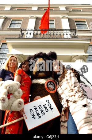 From left to right; TV presenter Anneka Svenska, actress Rachel Grant a bear and model Lisa B pose for photographers during a photocall in support of the WSPA's (World Society for the protection of Animals) campaign against bear-farming outside the Chinese Embassy in central London. The group are calling on the Chinese Government to ban bear farming and stop the illegal international trade in bear products. Stock Photo