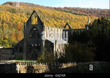 The trees surrounding Tintern Abbey in the Wye Valley showing their Autumn colours, as weather experts predict a cold spell of weather across the UK in the coming weeks. Stock Photo