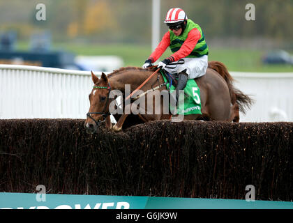 Horse Racing - The Open Festival 2013 - Paddy Power Gold Cup Day - Cheltenham Racecourse Stock Photo