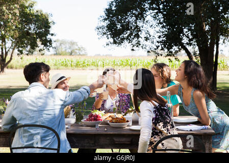 Friends clinking glasses, enjoying meal together outdoors Stock Photo