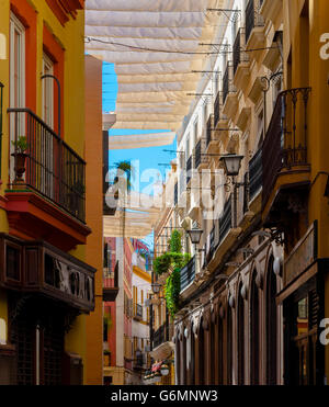 Canopies provide shade in the summer on the road Seville, Spain Stock Photo