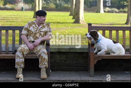 British Army dog Buster gets awarded the PDSA Bravery Award for services in the Iraq war at the Imperial War Museum, London. Buster is with his handler Sgt Danny Morgan. Stock Photo