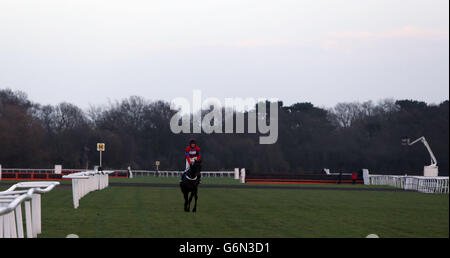 Sprinter Sacre ridden by Barry Geraghty after pulling up during the williamhill.com Desert Orchid Steeple Chase during day two of the William Hill Winter Festival at Kempton Park Racecourse. Stock Photo