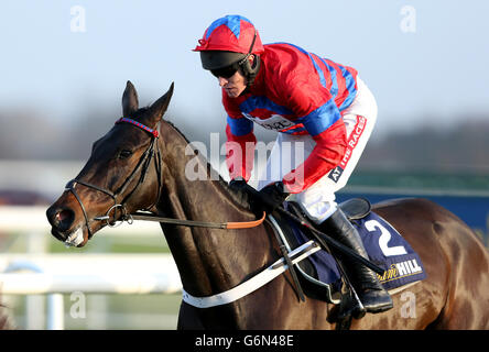 Sprinter Sacre ridden by Barry Geraghty during the williamhill.com Desert Orchid Steeple Chase during day two of the 2013 William Hill Winter Festival at Kempton Park Racecourse Stock Photo