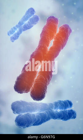 Chromosome 3D model - genetics illustration Stock Photo