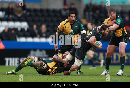 Ospreys Joe Bearman is tackled by Northampton's Samu Manoa and Dylan Hartley during the Heineken Cup, Pool One match at the Liberty Stadium, Swansea. Stock Photo