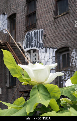 Landscaping on High Line Park, NYC Stock Photo