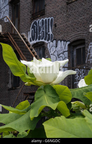 Landscaping on High Line Park, NYC Stock Photo