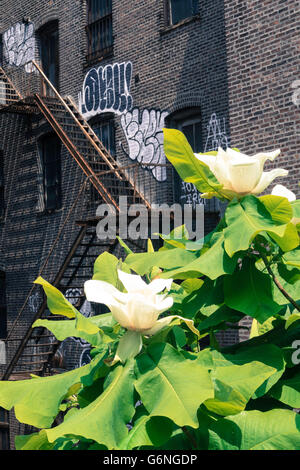 Landscaping on High Line Park, NYC Stock Photo