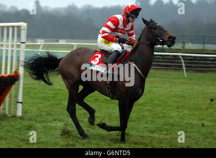 Stan James Challow Novices' Hurdle Stock Photo